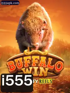 Descubra Tudo Sobre o Fascinante Jogo BuffaloWin
